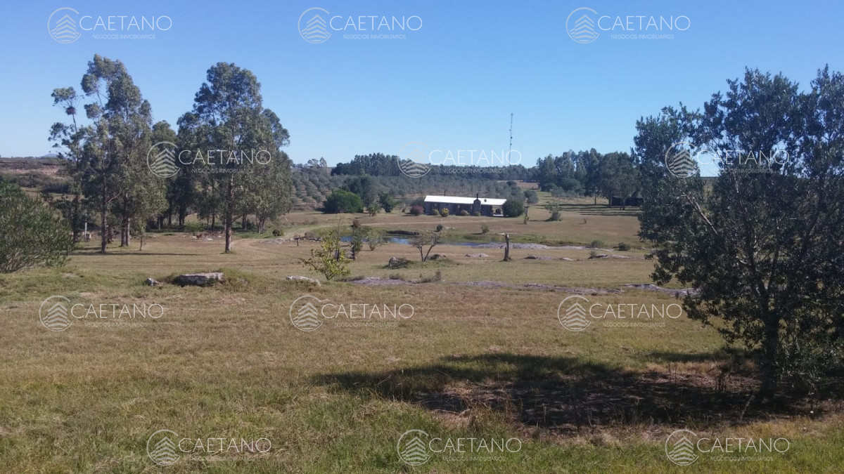 Zona Rural - GoPunta - Portal Inmobiliario de Punta del Este - Maldonado