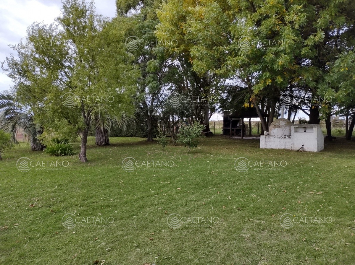 Zona Rural - GoPunta - Portal Inmobiliario de Punta del Este - Maldonado