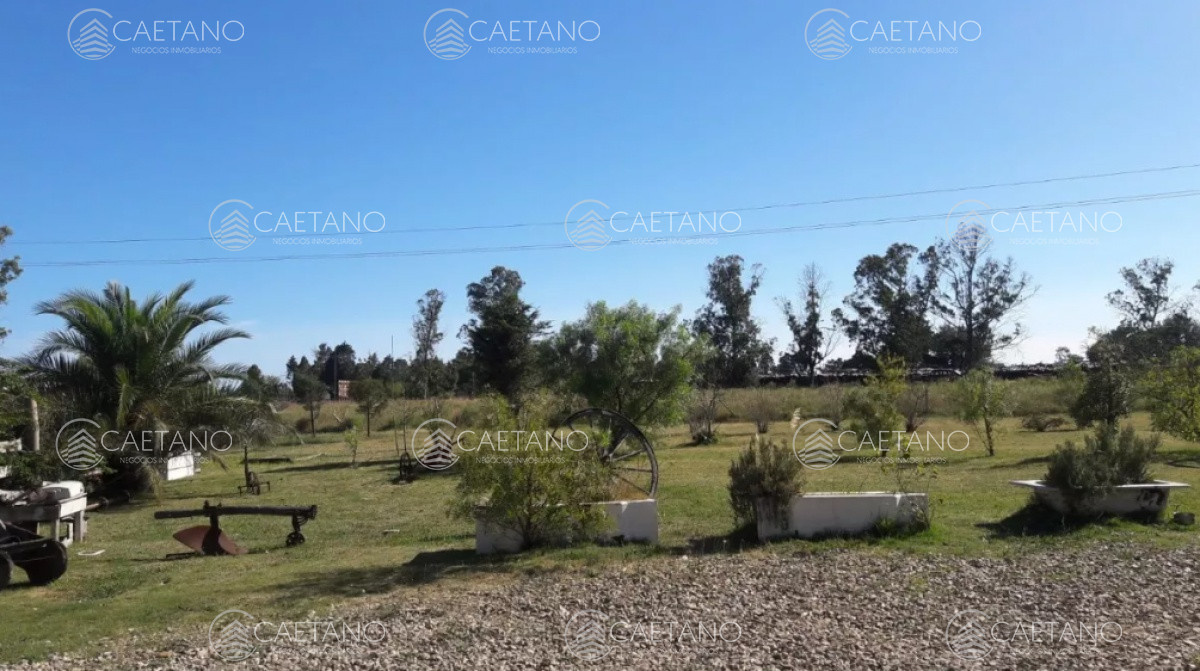 Ruta 9 - GoPunta - Portal Inmobiliario de Punta del Este - Maldonado