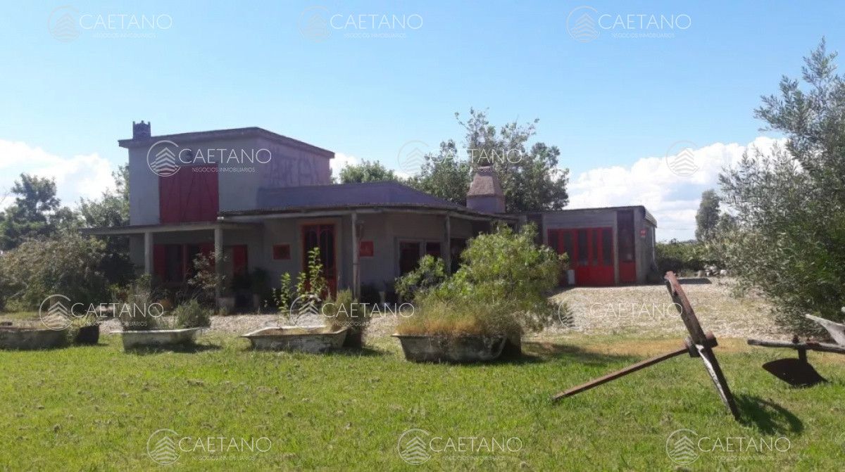 Ruta 9 - GoPunta - Portal Inmobiliario de Punta del Este - Maldonado