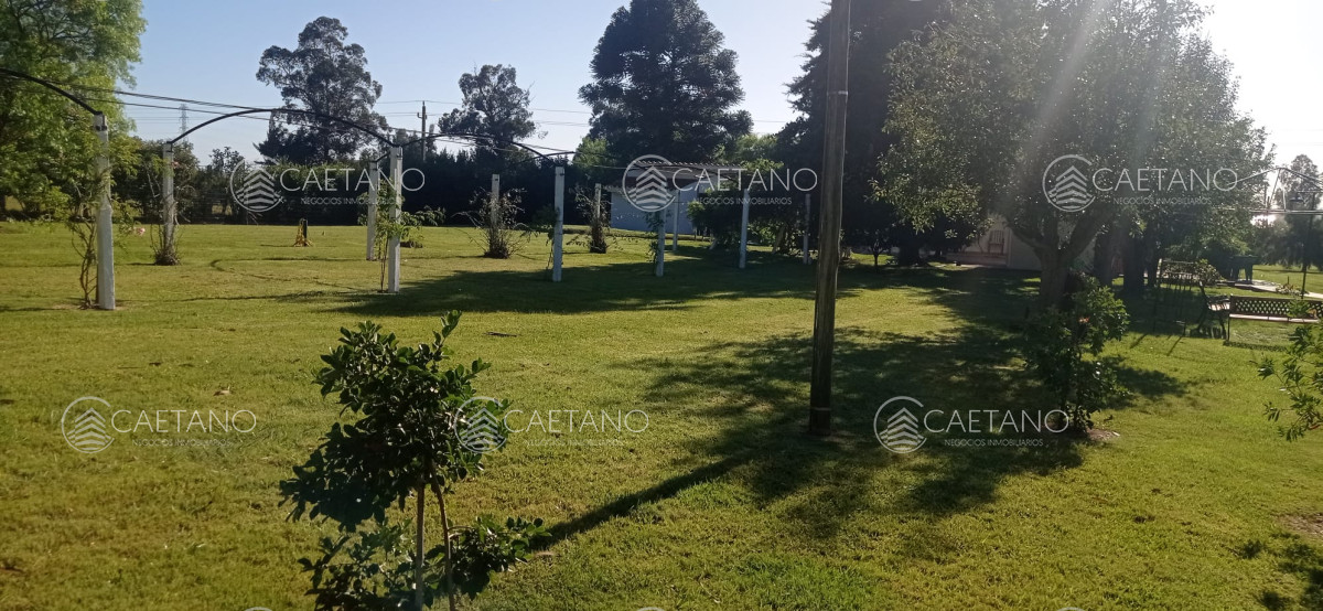 Camino de los Ceibos - GoPunta - Portal Inmobiliario de Punta del Este - Maldonado