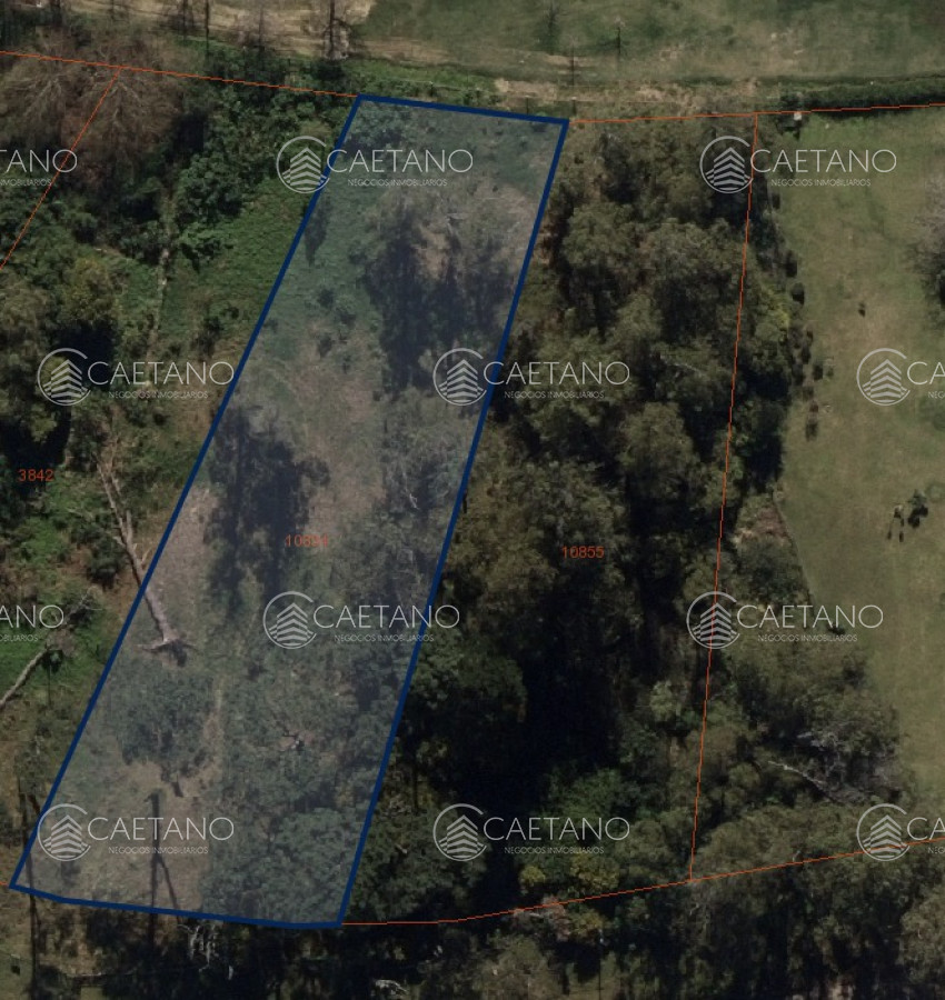 Golf - GoPunta - Portal Inmobiliario de Punta del Este - Maldonado