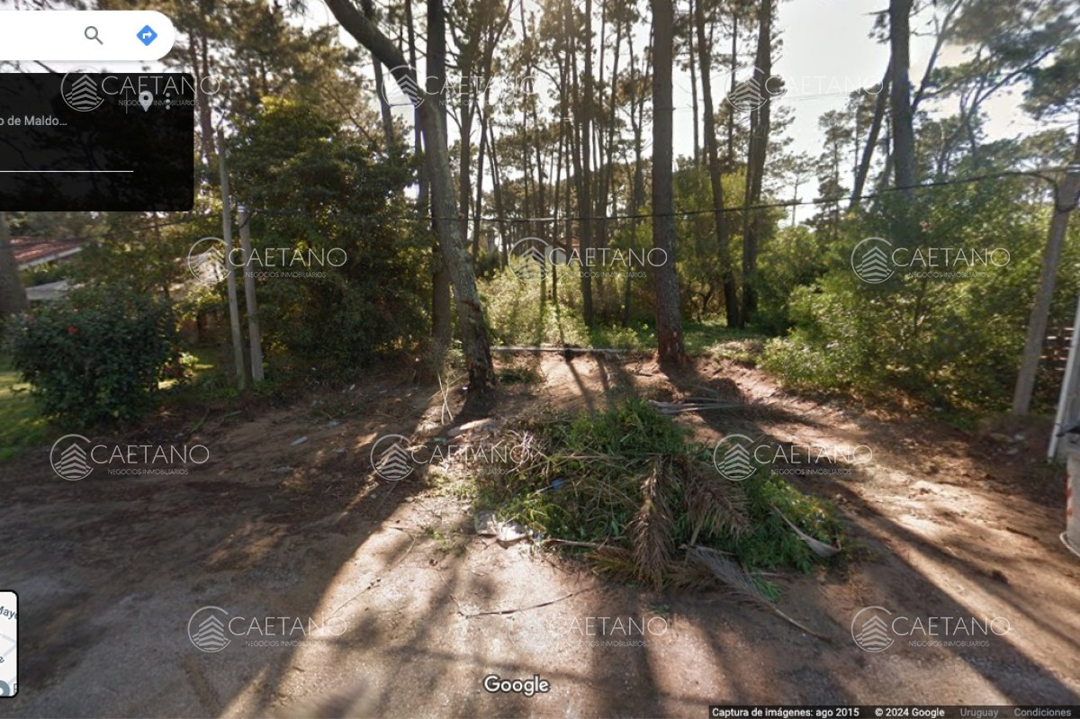 Pinares - GoPunta - Portal Inmobiliario de Punta del Este - Maldonado