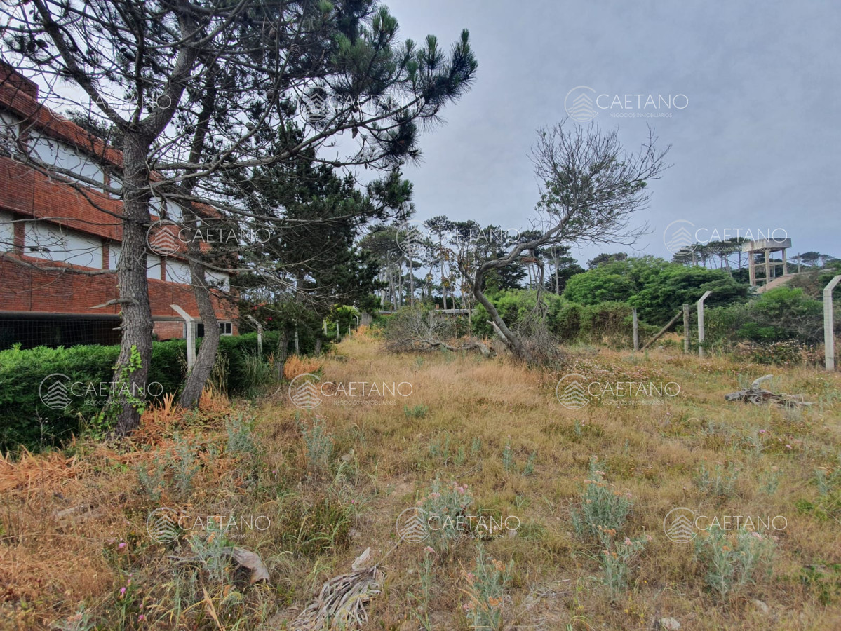 San Rafael - GoPunta - Portal Inmobiliario de Punta del Este - Maldonado