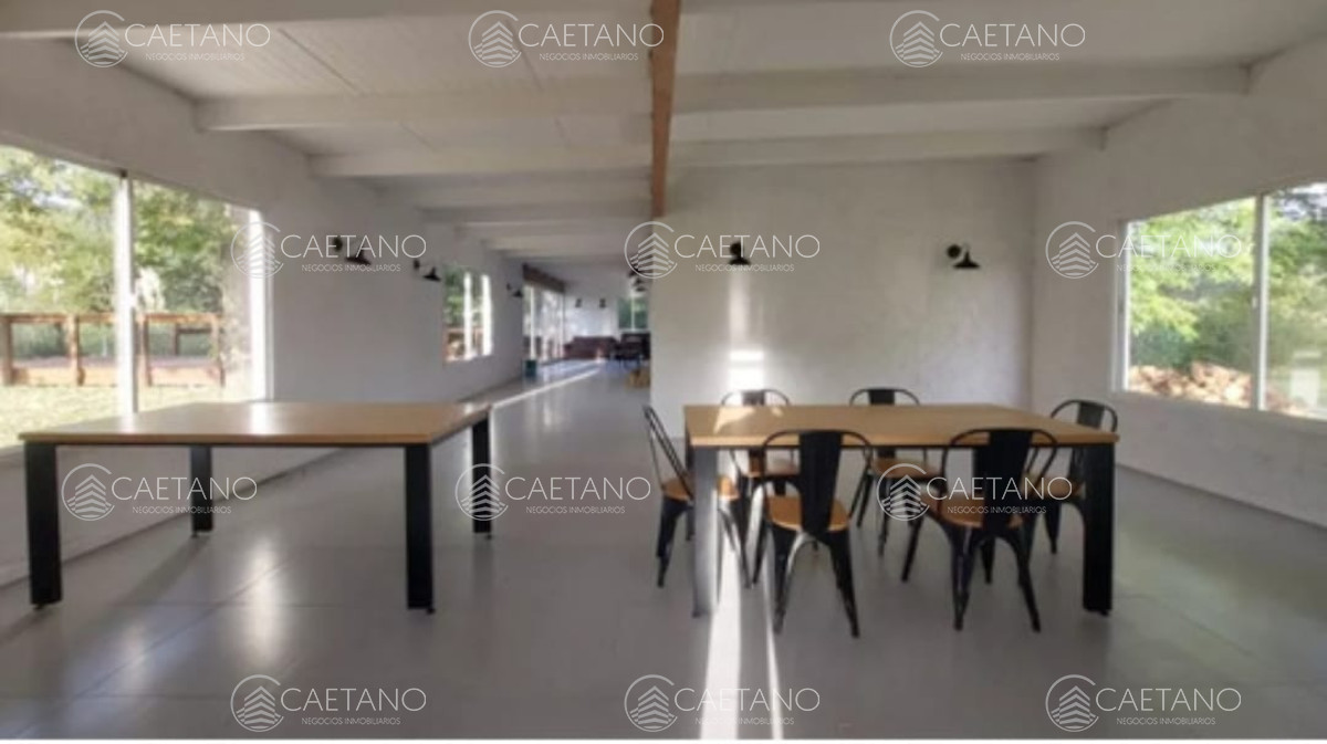 Venta terreno Verde Mora, Punta Ballena. - GoPunta - Portal Inmobiliario de Punta del Este - Maldonado