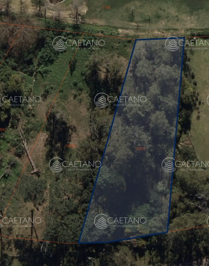 Golf - GoPunta - Portal Inmobiliario de Punta del Este - Maldonado