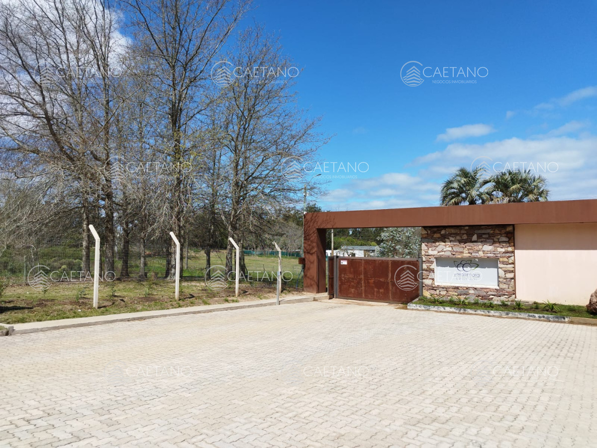 Venta terreno Verde Mora, Punta Ballena. - GoPunta - Portal Inmobiliario de Punta del Este - Maldonado