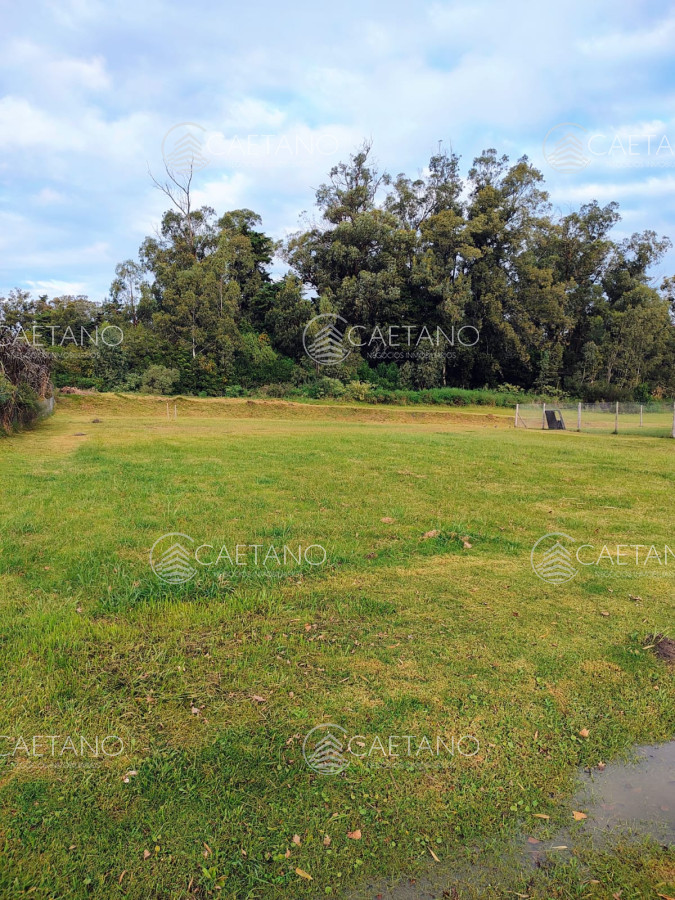 Venta terreno Verde Mora, Punta Ballena. - GoPunta - Portal Inmobiliario de Punta del Este - Maldonado