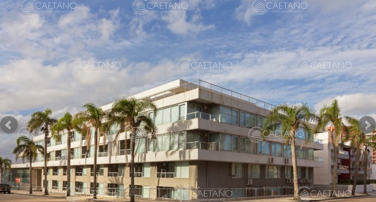 Puerto - GoPunta - Portal Inmobiliario de Punta del Este - Maldonado