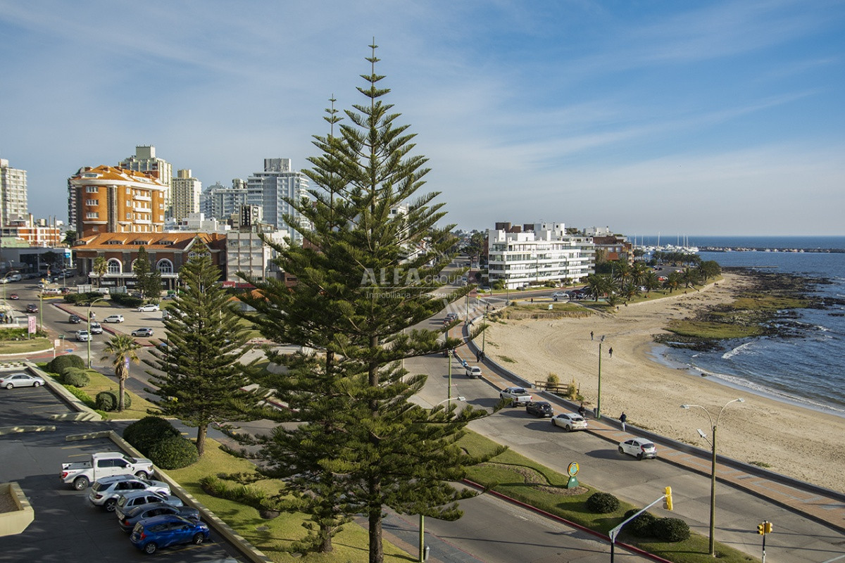 Mansa - GoPunta - Portal Inmobiliario de Punta del Este - Maldonado