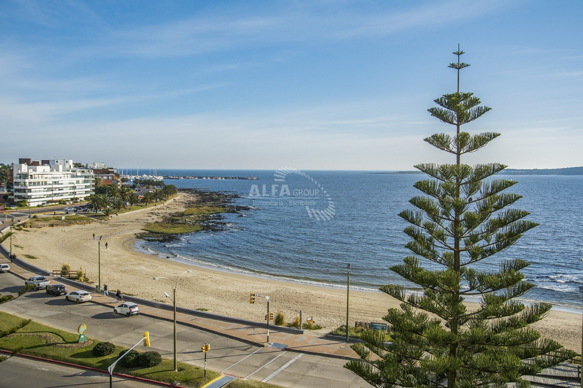 Mansa - GoPunta - Portal Inmobiliario de Punta del Este - Maldonado