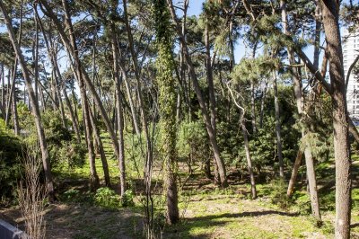 Apartamento ID.2949 - Apartamento en venta en Avenue Roosevelt, 2 dormitorios, bajos gastos comunes 