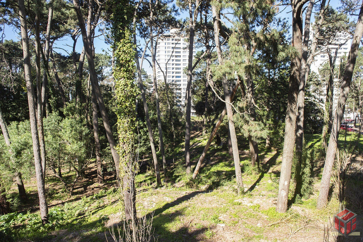 Apartamento ID.8987 - Apartamento en venta en Avenue Roosevelt, 2 dormitorios, bajos gastos comunes 
