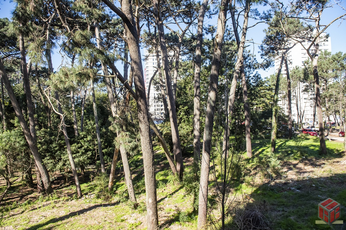 Apartamento ID.8987 - Apartamento en venta en Avenue Roosevelt, 2 dormitorios, bajos gastos comunes 