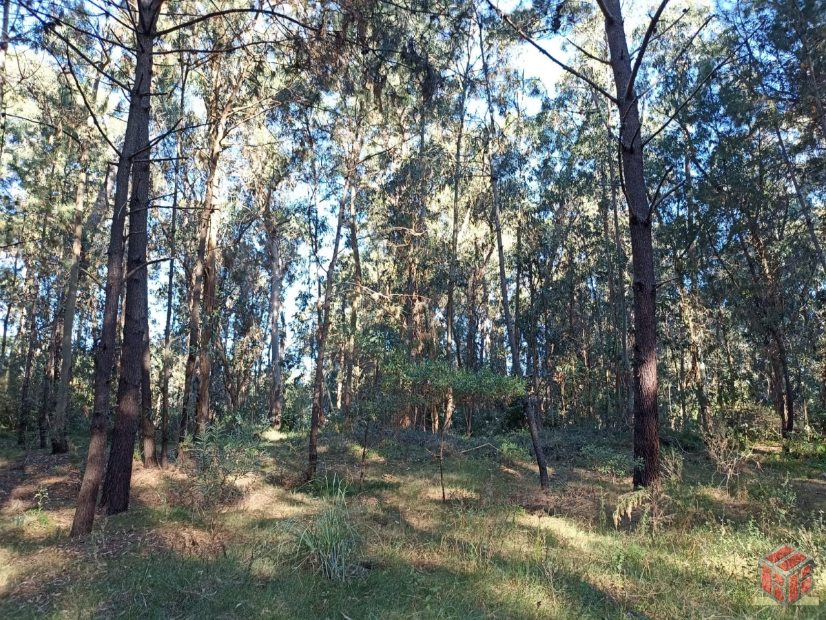 Terreno ID.8895 - Terreno 1300 mts 2 a la venta en Punta del Este