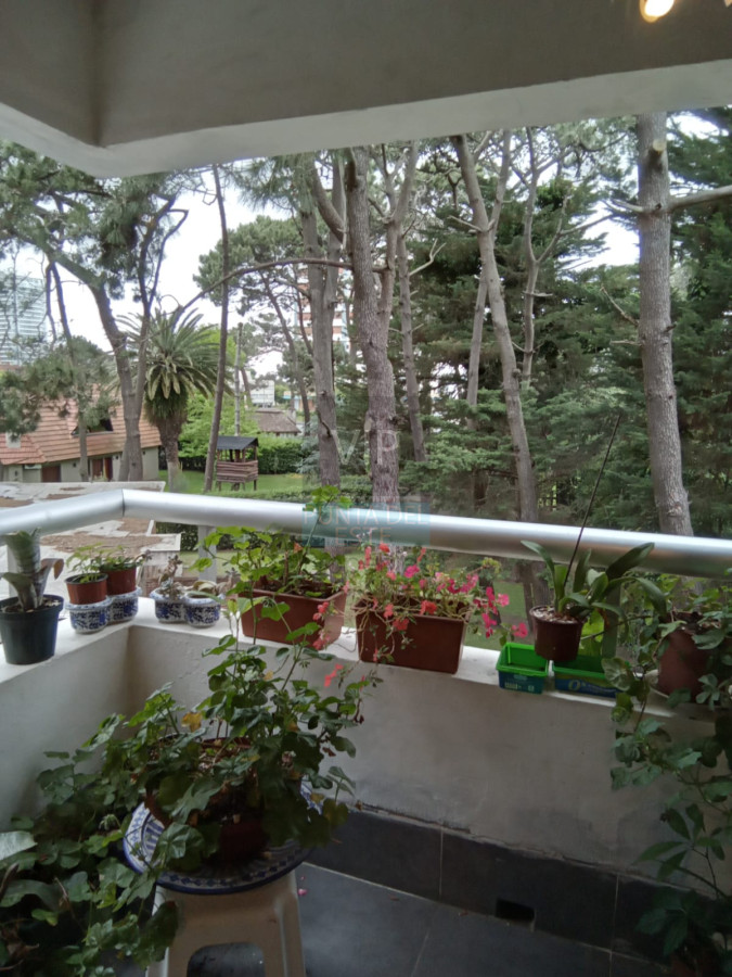 Aidy Grill - GoPunta - Portal Inmobiliario de Punta del Este - Maldonado
