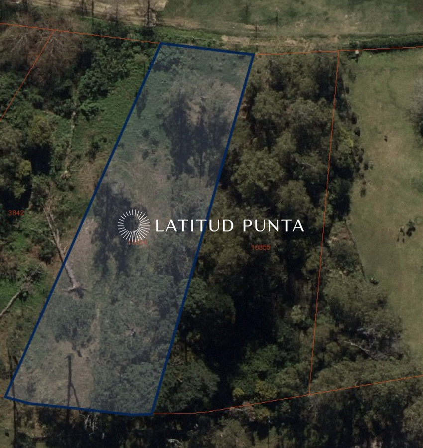 Golf - GoPunta - Portal Inmobiliario de Punta del Este - Maldonado