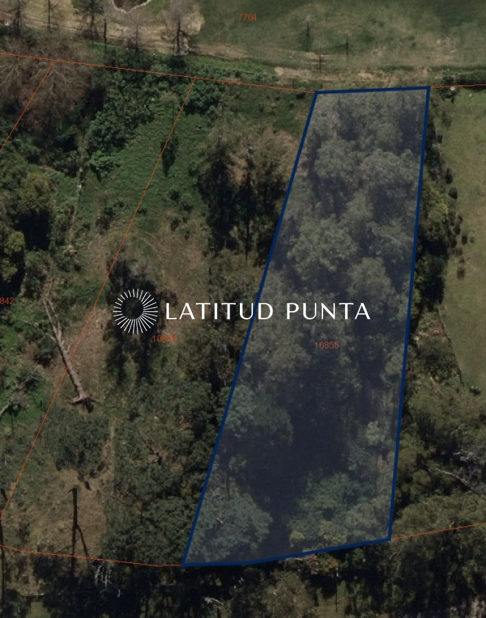 Golf - GoPunta - Portal Inmobiliario de Punta del Este - Maldonado