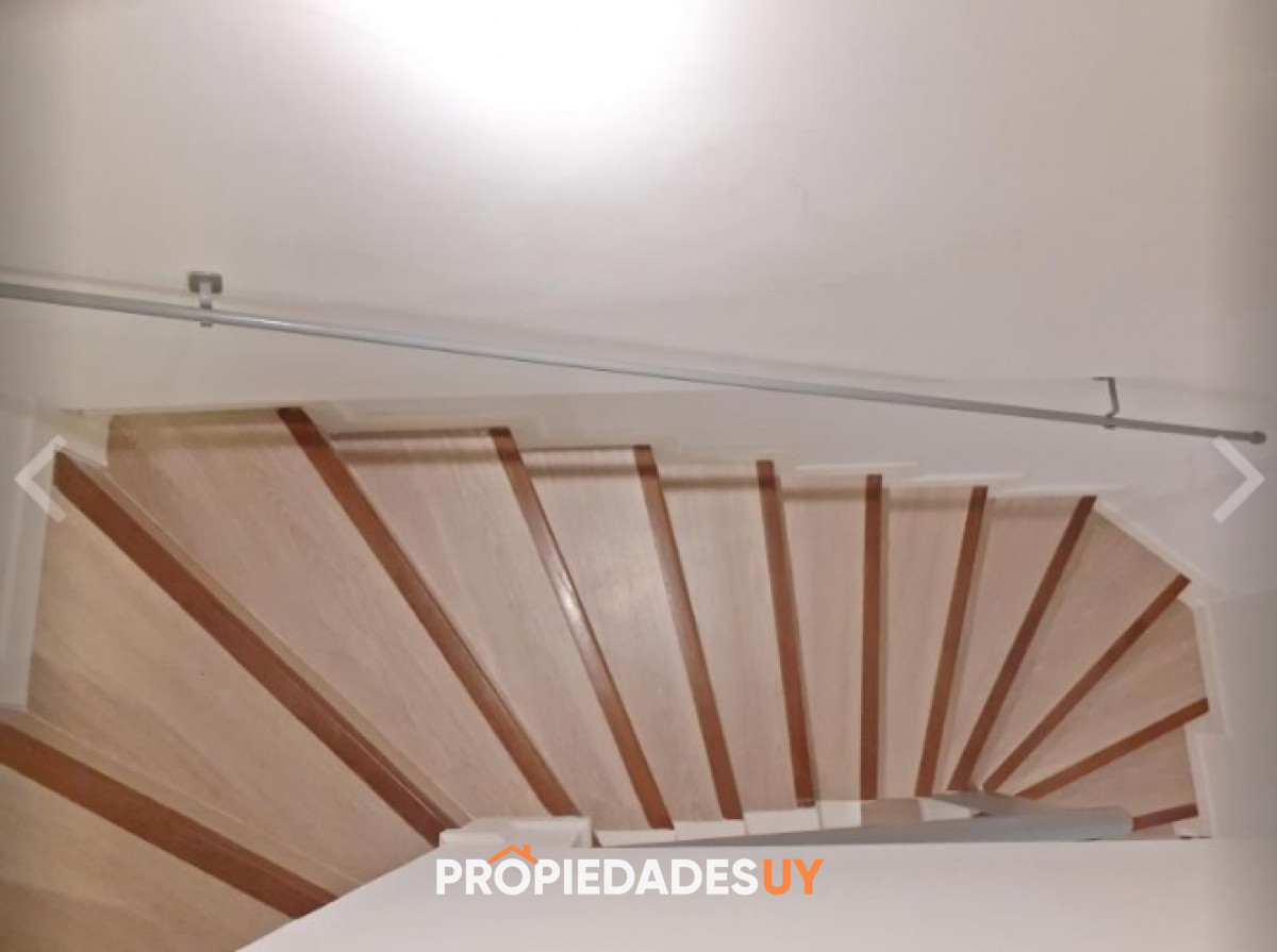 Esturión Terrazas II