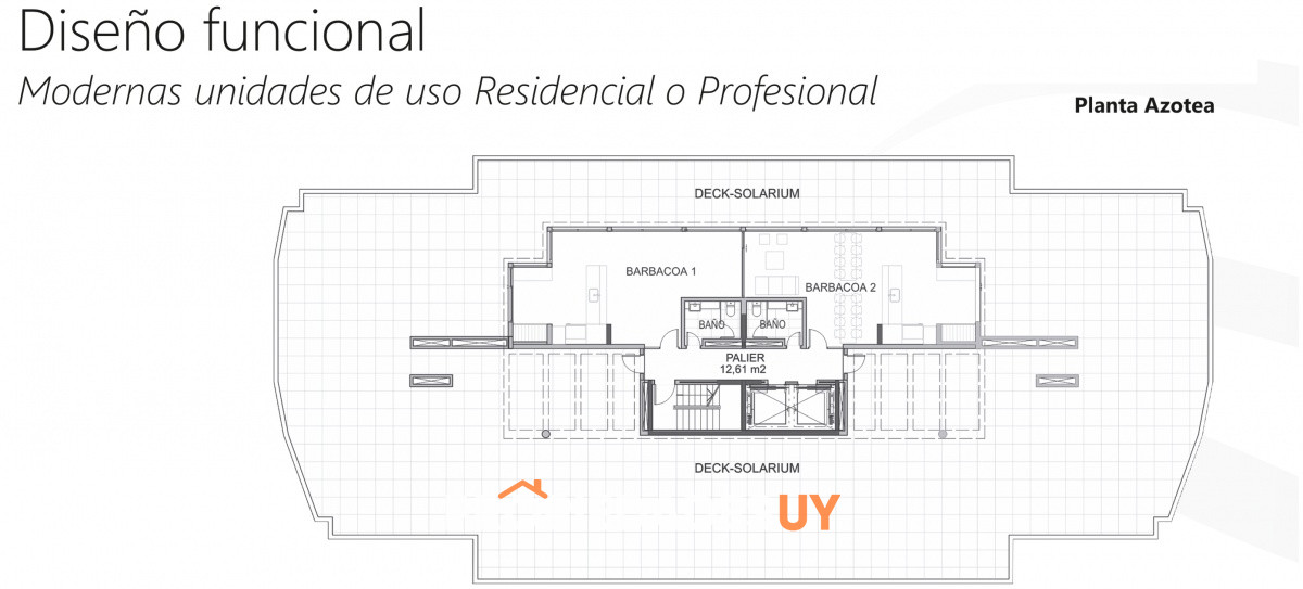 Planta View II