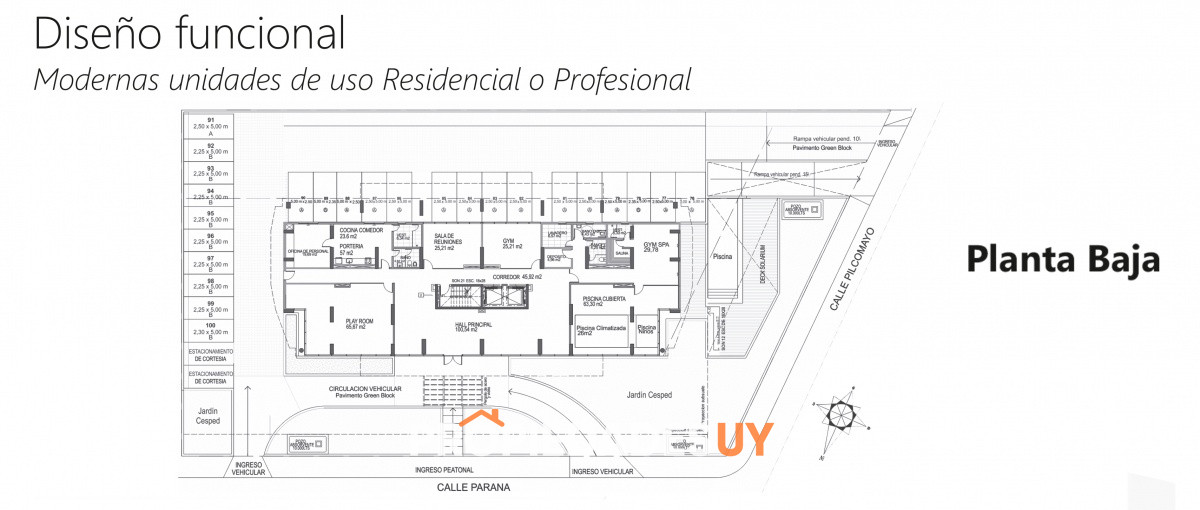 Planta View II