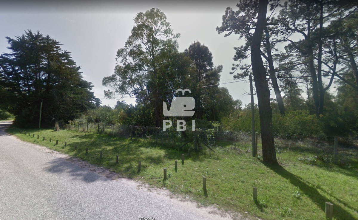Golf - GoPunta - Portal Inmobiliario de Punta del Este - Maldonado