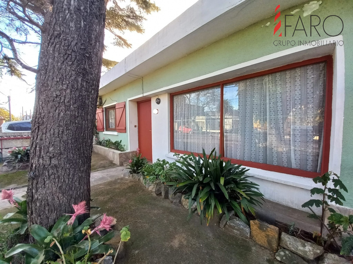 Centro Maldonado - GoPunta - Portal Inmobiliario de Punta del Este - Maldonado