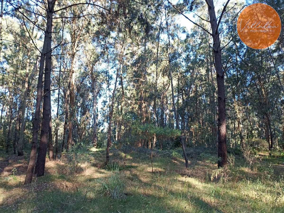 Terreno ID.3226 - Terreno 1300 mts 2 a la venta en Punta del Este