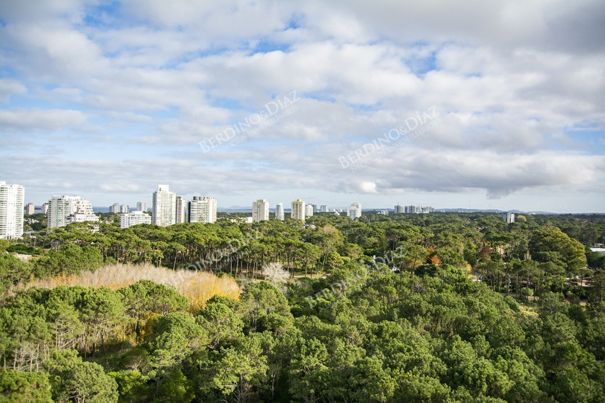 Apartamento ID.3030 - Departamento de 3 dormitorios en piso alto, Quartier del Mar, en venta.
