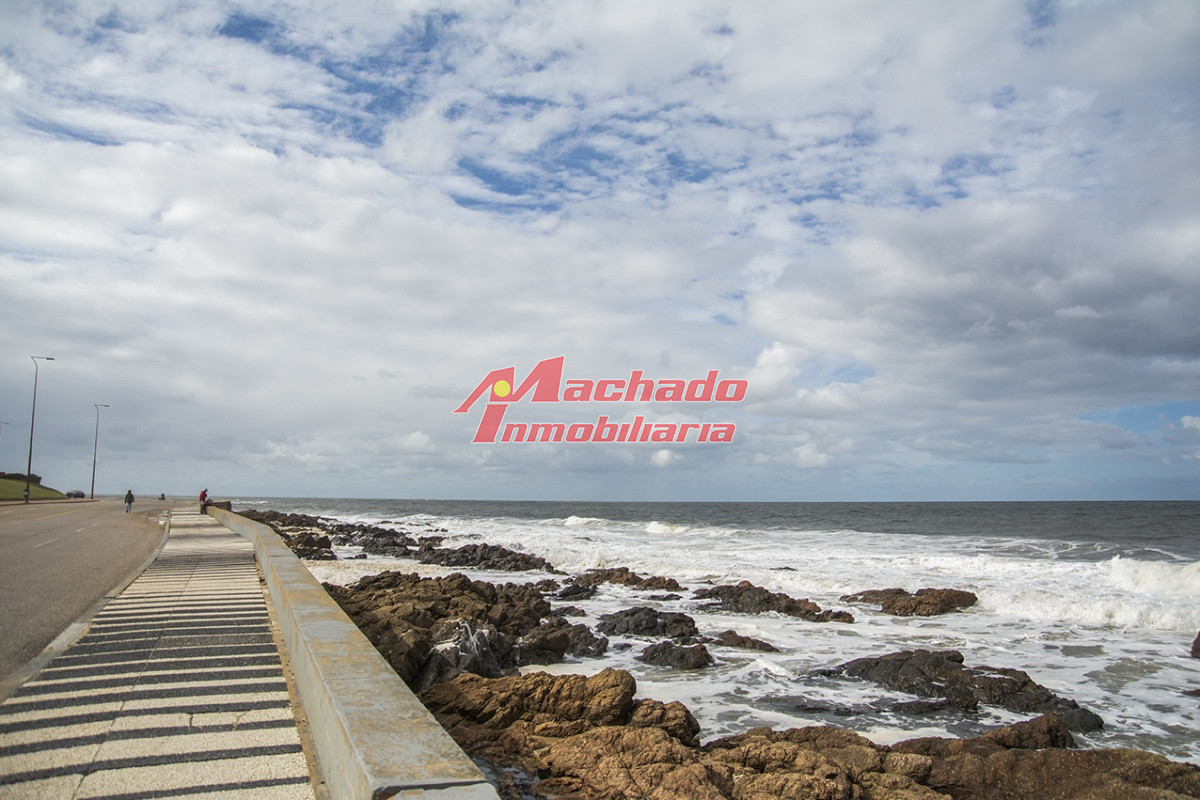 Península - GoPunta - Portal Inmobiliario de Punta del Este - Maldonado