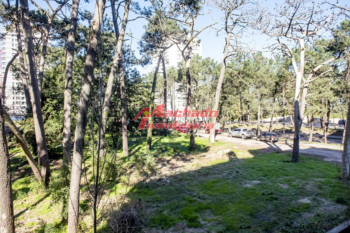 Propiedad - GoPunta - Portal Inmobiliario de Punta del Este - Maldonado