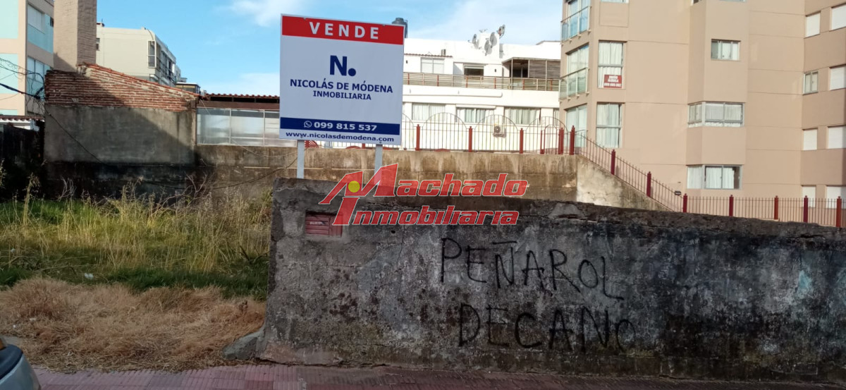 Península - GoPunta - Portal Inmobiliario de Punta del Este - Maldonado