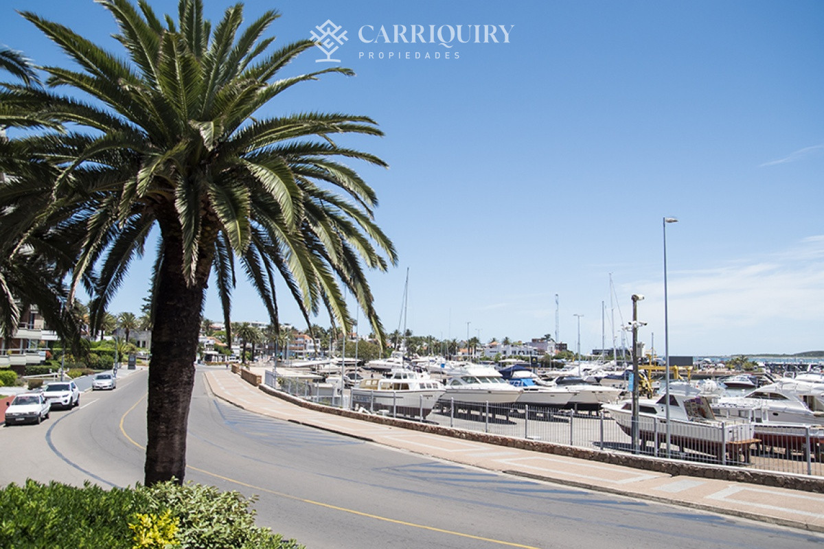 Puerto - GoPunta - Portal Inmobiliario de Punta del Este - Maldonado