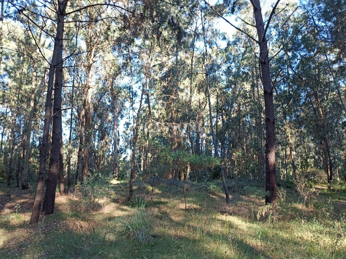 Terreno ID.2304 - Terreno 1300 mts 2 a la venta en Punta del Este