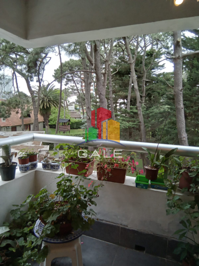 Aidy Grill - GoPunta - Portal Inmobiliario de Punta del Este - Maldonado