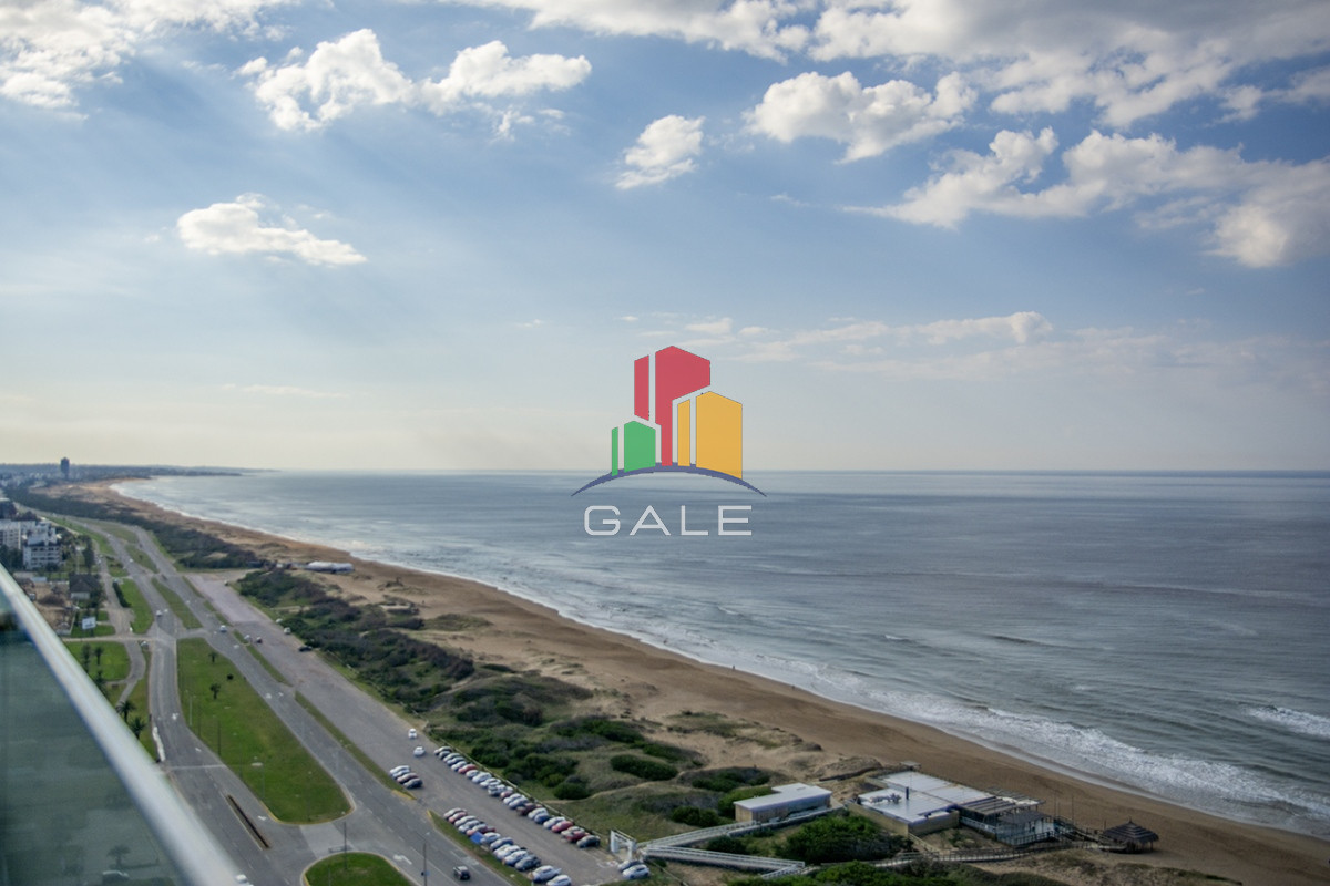 Brava - GoPunta - Portal Inmobiliario de Punta del Este - Maldonado