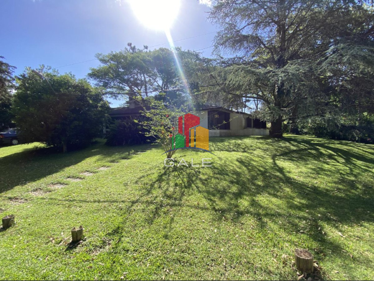 Lugano - GoPunta - Portal Inmobiliario de Punta del Este - Maldonado