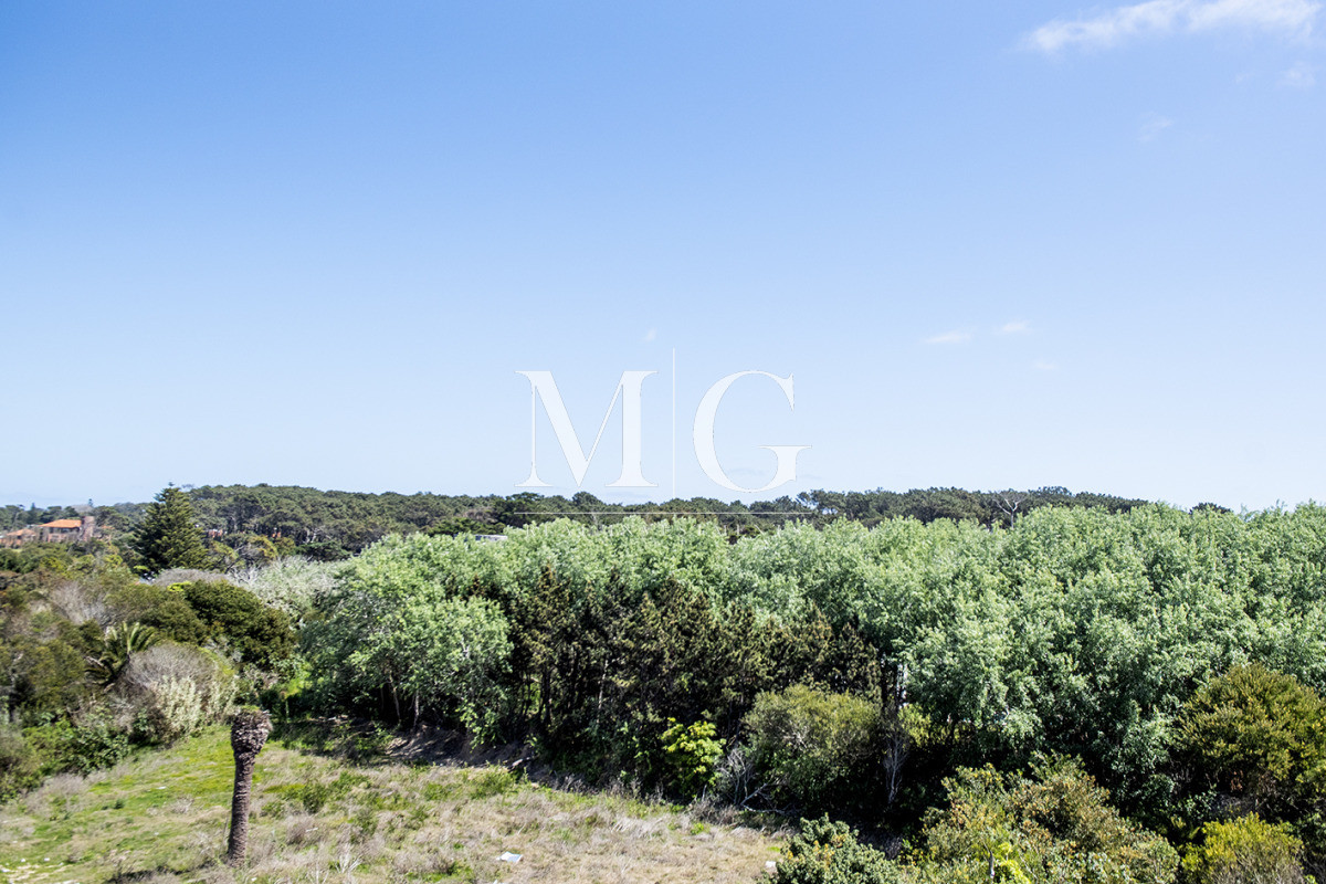 Apartamento ID.1496 - Departamento de 3 dormitorios en venta en torre Silente