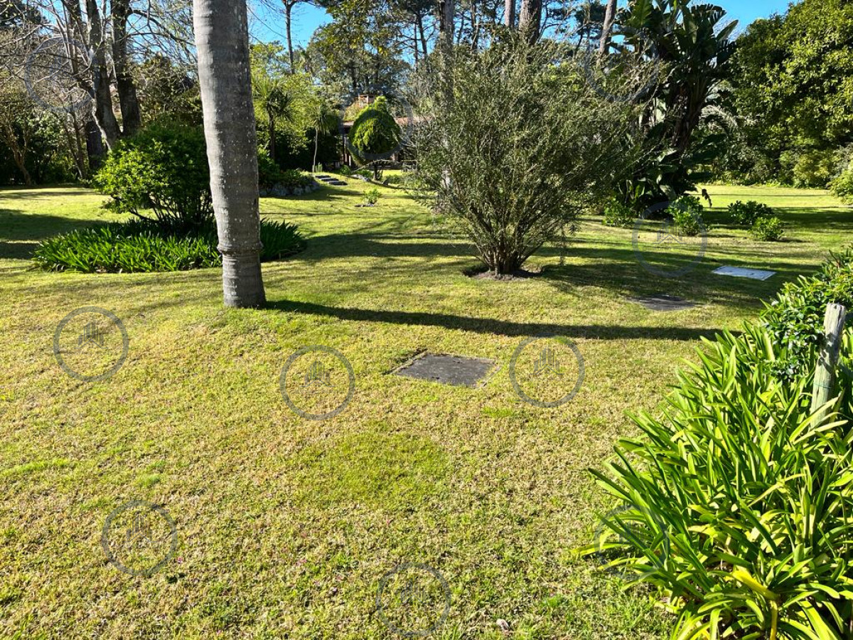 Casa acogedora muy iluminada de 5 dormitorios con un jardín inmenso ideal para quienes buscan terreno muy amplio — fotografía 4
