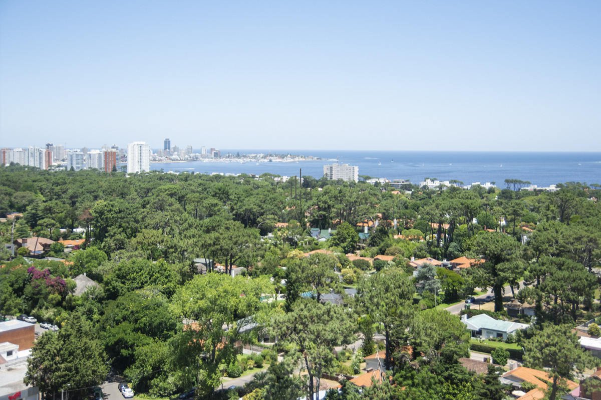 Apartamento ID.4177 - Vende apto de 2 dormitorios con vista al mar en Punta del este