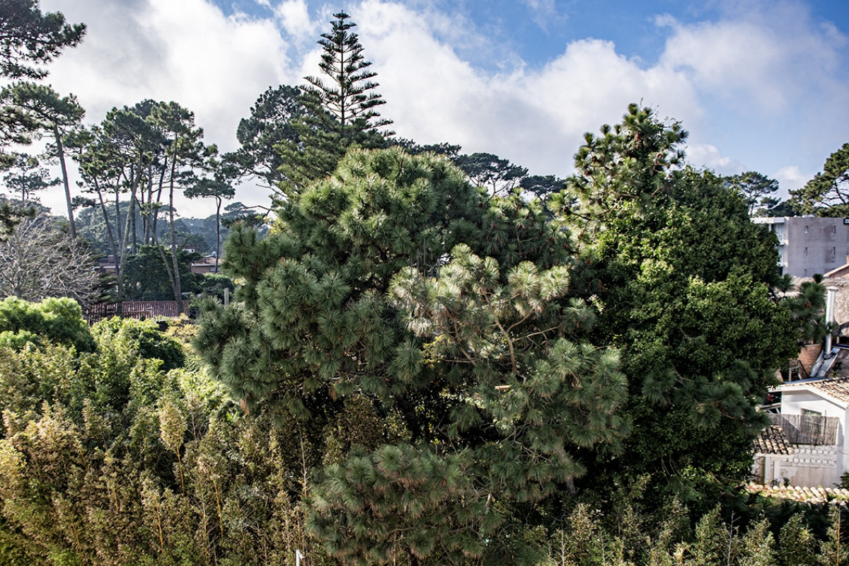 Apartamento ID.2885 - Apartamento en Venta de 2 dormitorios en Av. Roosevelt , Punta del este  
