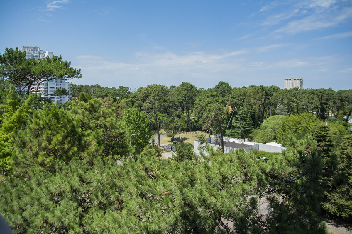 Apartamento ID.1028 - Departamento de 4 dormitorios en venta en Roosevelt.