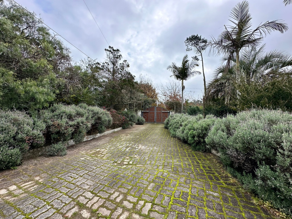 Casa ID.2954 - Vende casa de 4 dormitorios con piscina y gran parque en Golf, Punta del Este