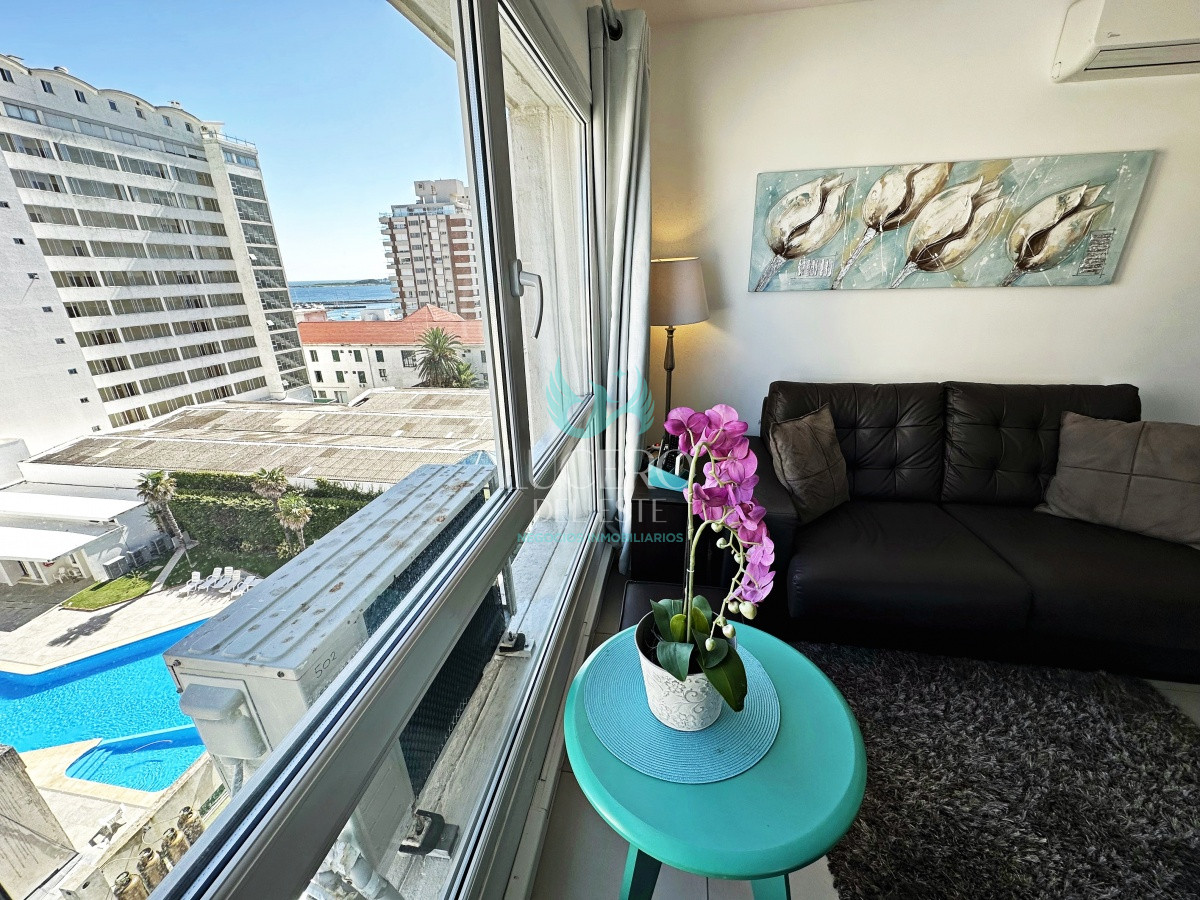 Apartamento ID.887 - Vende en Peninsula, apartamento de 1 dormitorio, con excelente vista, muy iluminado.