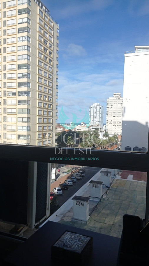 Apartamento ID.887 - Vende en Peninsula, apartamento de 1 dormitorio, con excelente vista, muy iluminado.