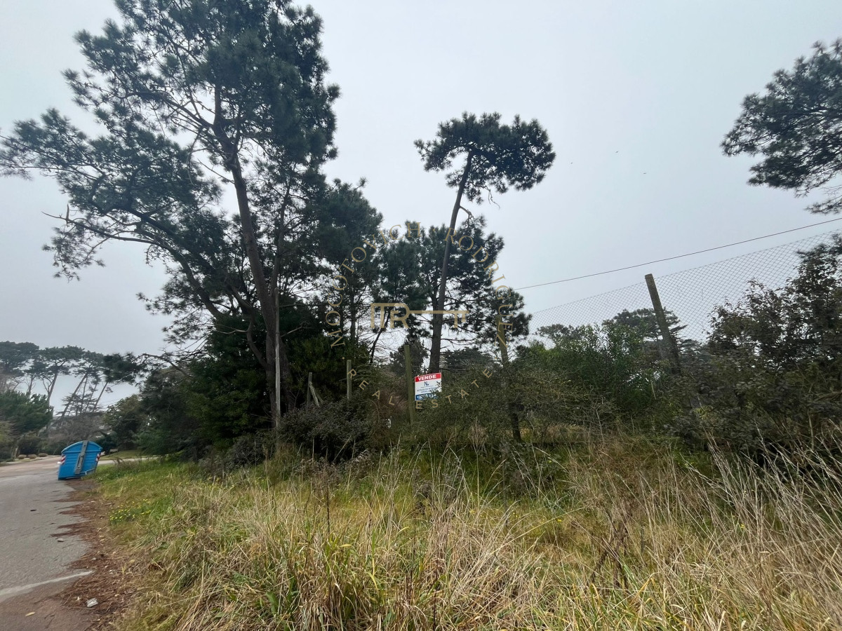 Terreno ID.1966 - Terreno ubicado en zona residencial.