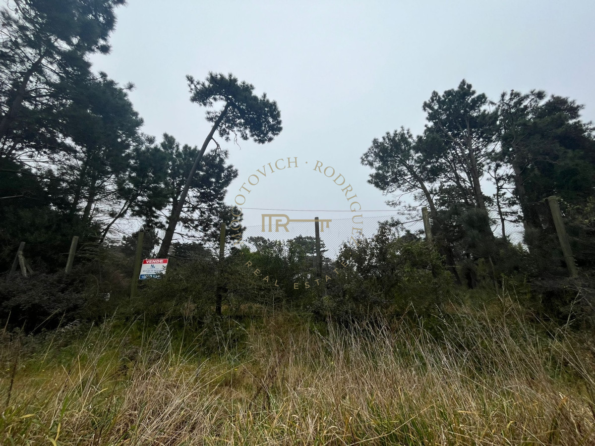 Terreno ID.1966 - Terreno ubicado en zona residencial.