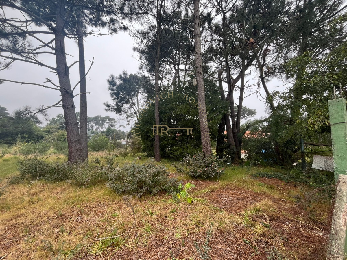 Terreno ID.1966 - Terreno ubicado en zona residencial.