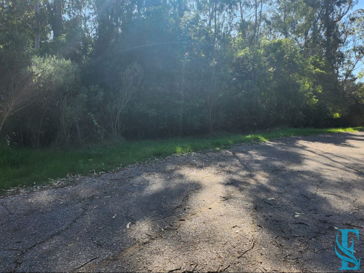 Terreno ID.553 - Vende terreno amplio de 4226 m2, en Las Cumbres- Punta Ballena.