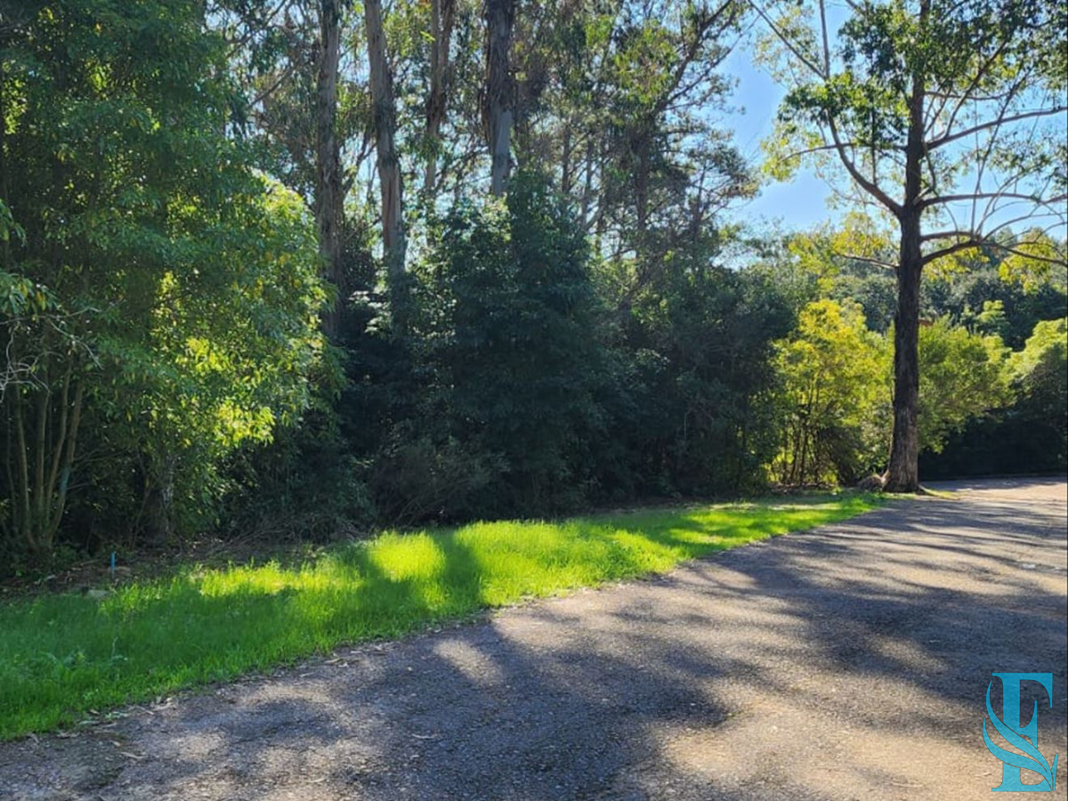 Terreno ID.553 - Vende terreno amplio de 4226 m2, en Las Cumbres- Punta Ballena.
